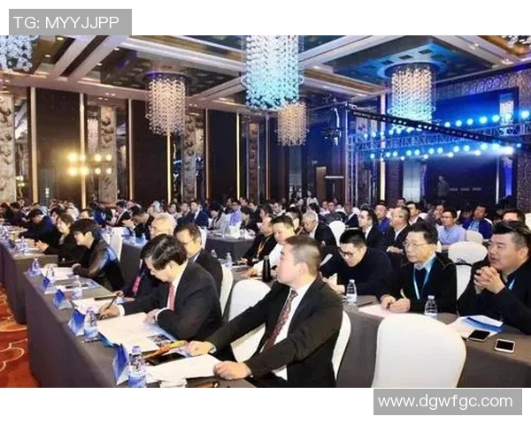 北京篮球队转型之路的真实记录与未来展望