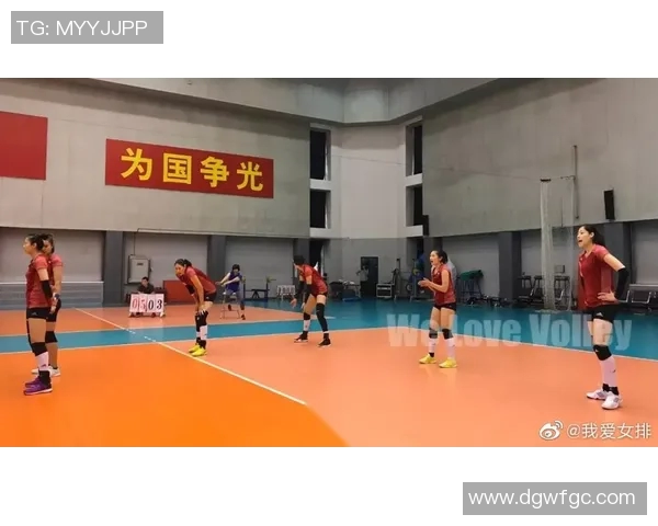 南京排球队区域防守策略解析与深度剖析 南京排球队区域防守策略解析与深度剖析