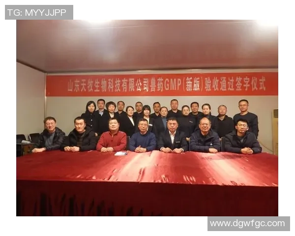 重庆乒乓球队的崛起之路联合会杯背后的奋斗与荣耀 重庆乒乓球队的崛起之路联合会杯背后的奋斗与荣耀