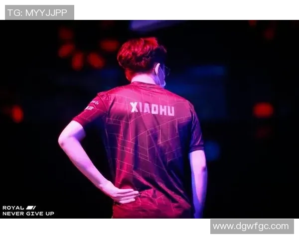 城市赛特别报道：RNG的突破历程