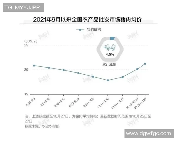 独家分析：重庆乒乓球队的意识对比